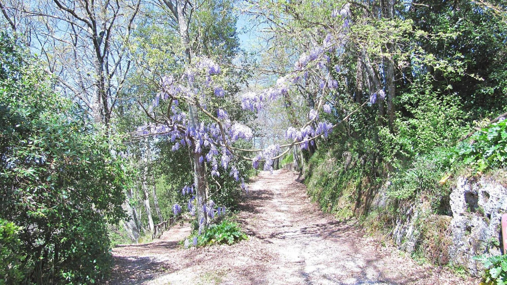 Montecasciano Primula Villa Capranica Екстериор снимка