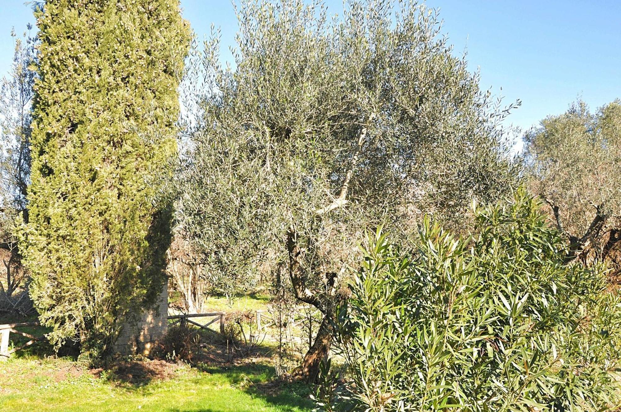 Montecasciano Primula Villa Capranica Екстериор снимка